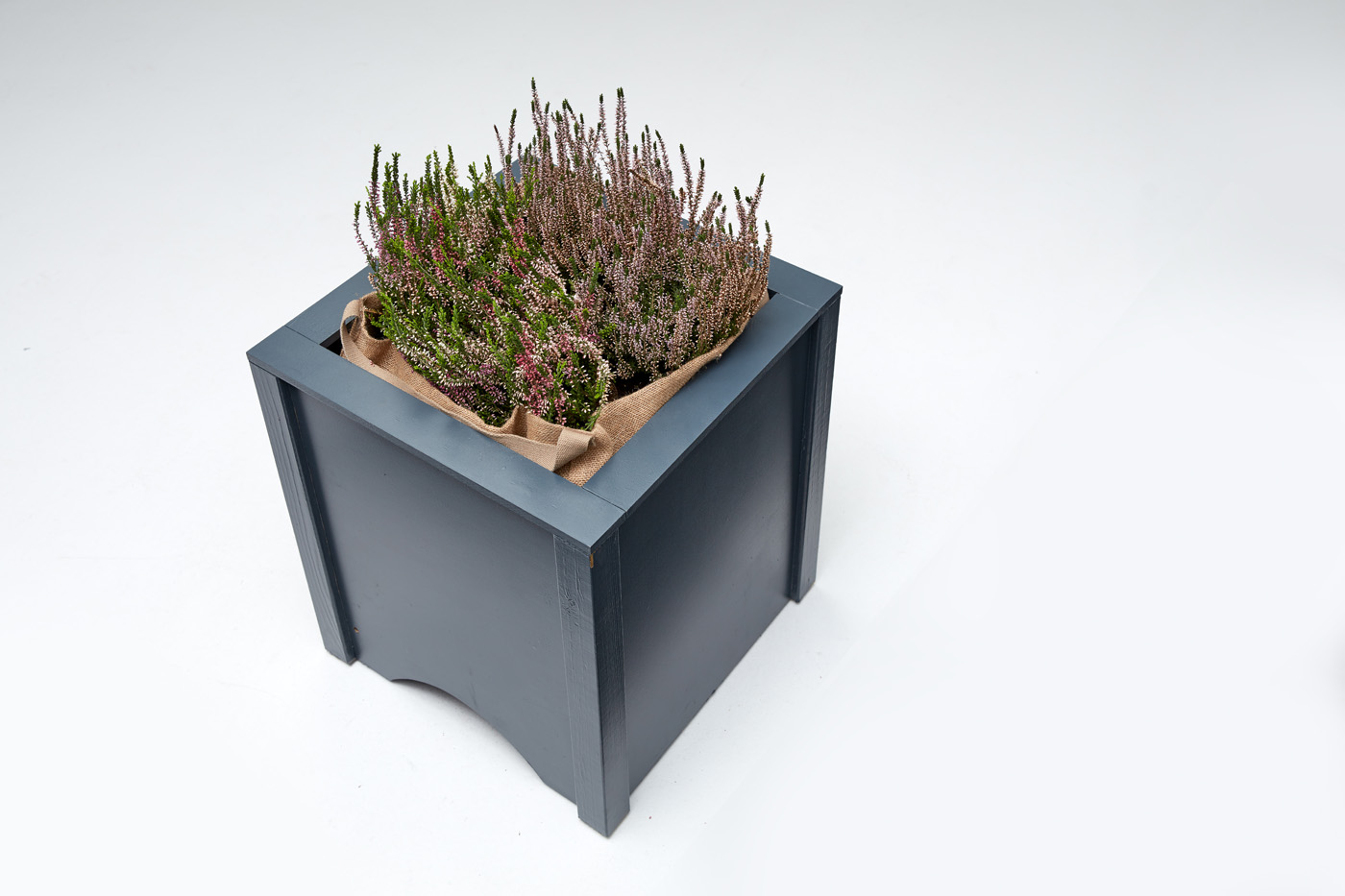 plant trap box - Pest-Innovation