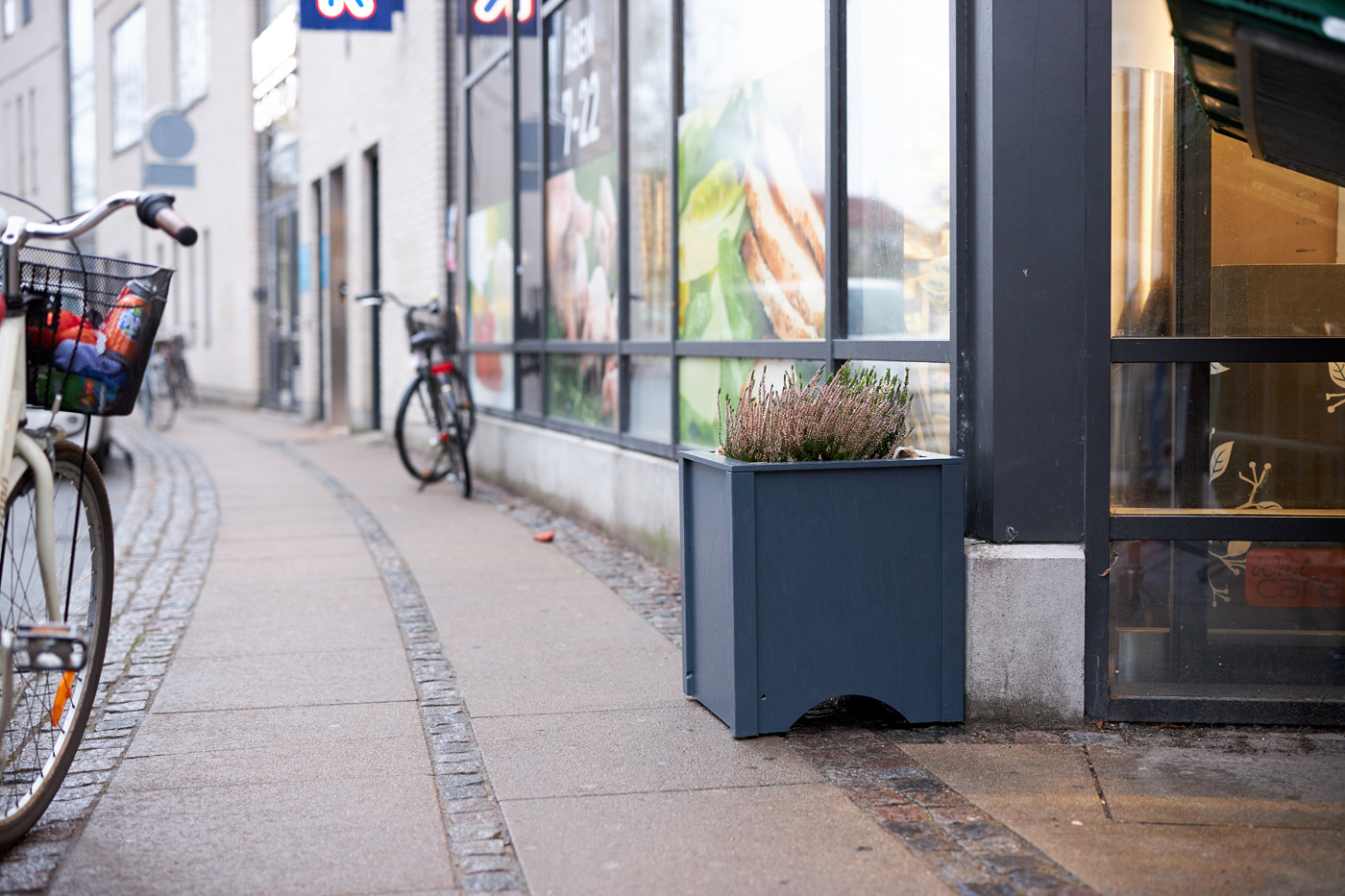 forhindrer rotteproblemer
